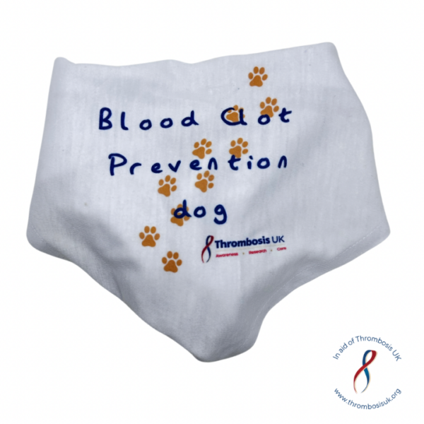 Dog Bandana - Image 4