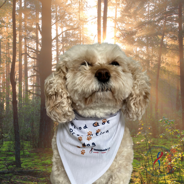 Dog Bandana - Image 2